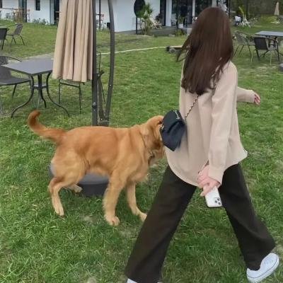 守梦者